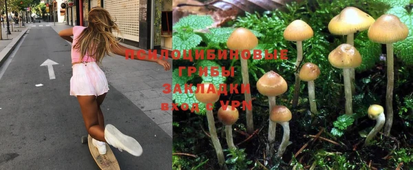 хмурый Магас