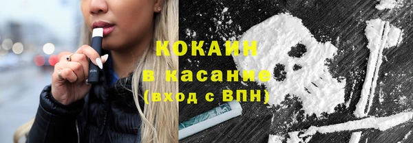 хмурый Магас