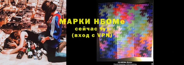 хмурый Магас